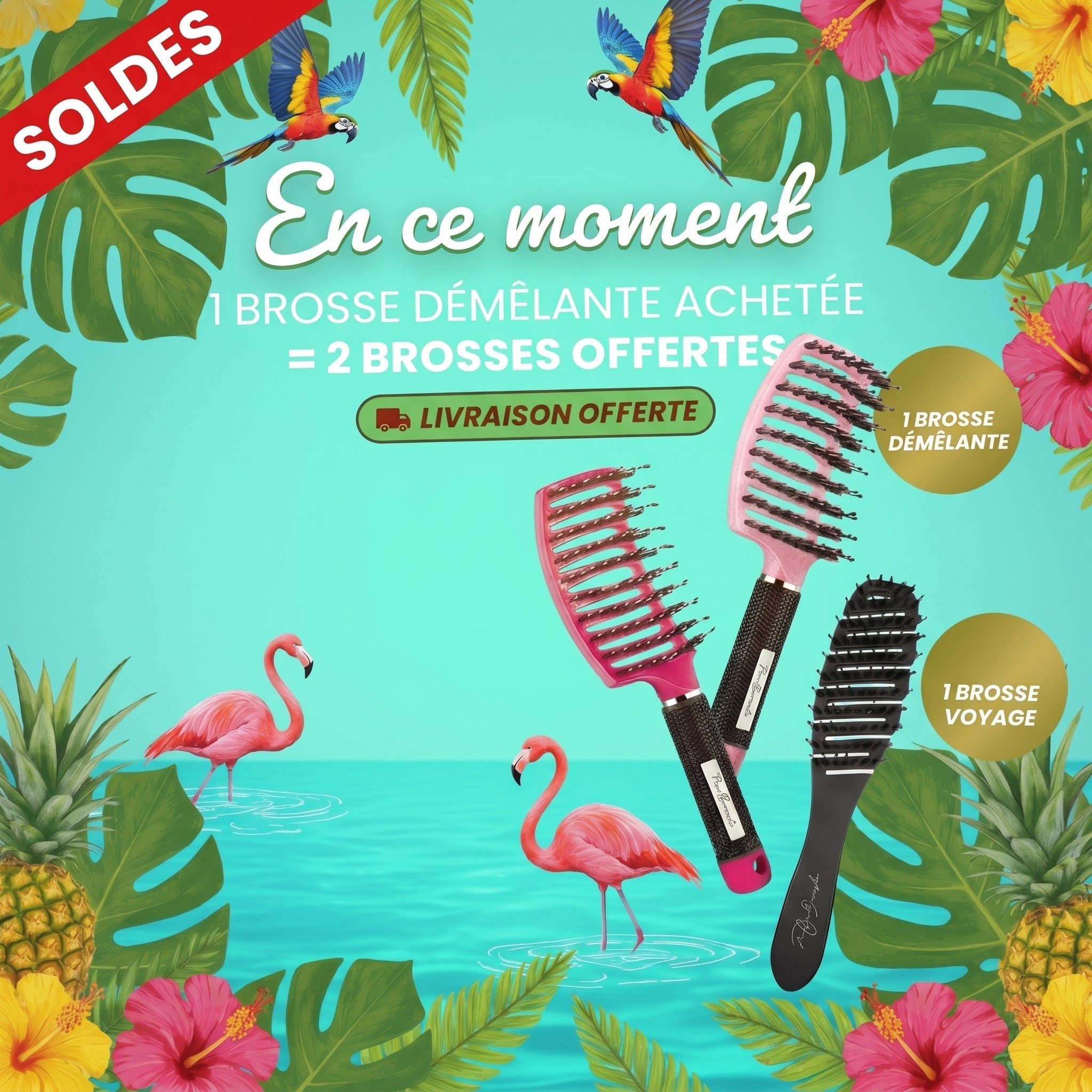 Brosse Démêlante Anti-Casse
