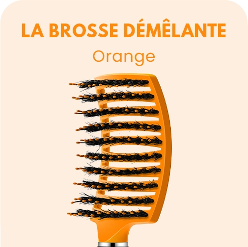 Brosse Démêlante Anti-Casse